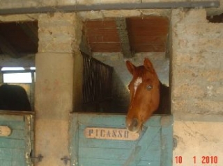  Nuestro manejo 